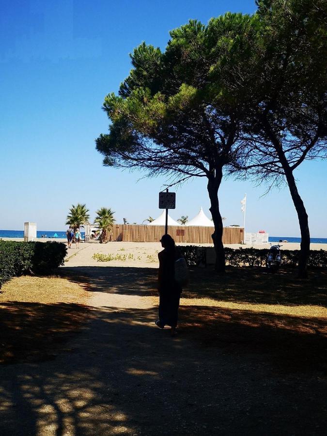 Charmant T2 Terrasse, Bord De Mer Argelès-sur-Mer Esterno foto